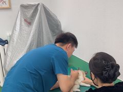 -利又安动物医院··老年病·猫科犬科·中兽医