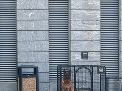 -阿那亚第三食堂 Cafeteria 3