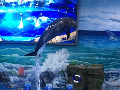 -多彩贵州城极地海洋世界