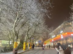 -庐山风景区花径公园