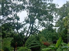 -扬州大运河文化旅游度假区·盆景园