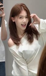 -YESIDO椰岛造型