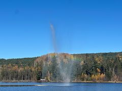 -五营红松林海景区
