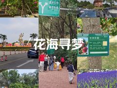 -广州莲花山旅游区