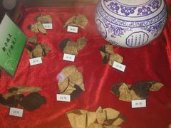 -广东中医药博物馆