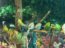 -酷嗒动物文化乐园(cutezoo西溪乐天城店)