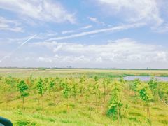 -南汇嘴观海公园