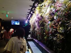 -海底捞火锅(金花路店)