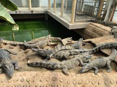 -石家庄市动物园