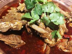 -友乐居羊蝎子(西直门店)