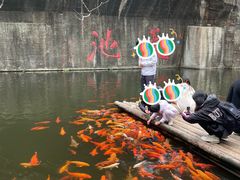 -千岛湖东南湖区