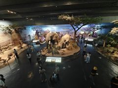 -天津自然博物馆