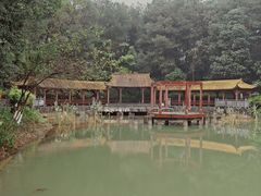 -铁山坪森林公园