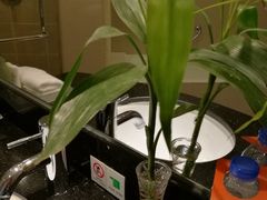 -苏州茉莉花酒店