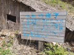 -天女山森林公园