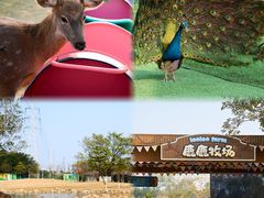 -盈香心动乐园