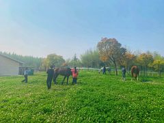 -春花秋色城市公园