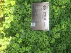 -广州神农草堂中医药博物馆