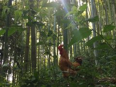 -山沟沟景区