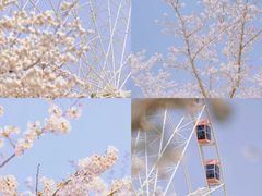 -上海辰山植物园