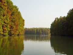 -上海海湾国家森林公园