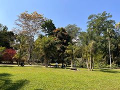 -中国科学院西双版纳热带植物园