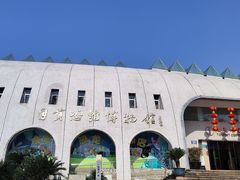 -自贡恐龙博物馆