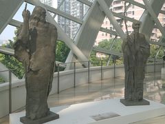 -凤凰中心