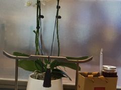 -蘇锦宴·淮扬菜烤鸭·小院(三元桥霄云路店)