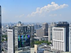 -Hi City·城市之巅