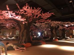 -蓝鲸湾汤泉(包河店)