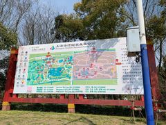 景点-上海海湾国家森林公园