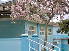 -八大关景区