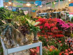-双季花艺园艺市场(浦东店)
