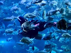-锦艺城海洋馆