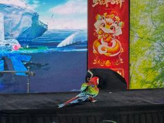 -大明湖海底世界