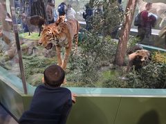 -国家自然博物馆