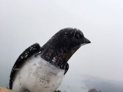 -燕窝岭