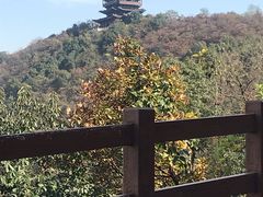 -杭州半山国家森林公园