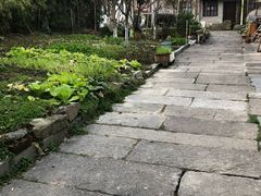 -小河无名面馆