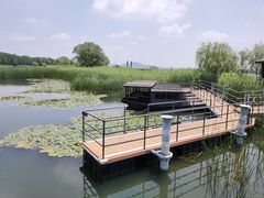-苏州太湖湖滨国家湿地公园