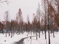 -北龙湖湿地公园