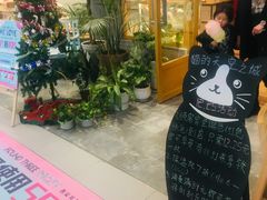 -猫的天空之城概念书店(印象城购物中心店)