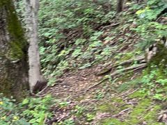 -牛背梁国家森林公园