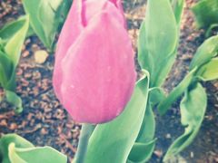 -长春公园(普阳街道)