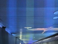 -白鹤梁水下博物馆