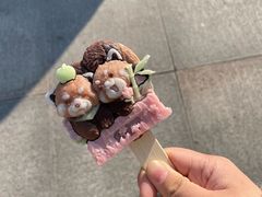 -合肥野生动物园