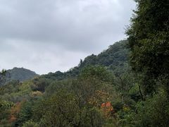 -西湖风景区-江洋畈生态公园