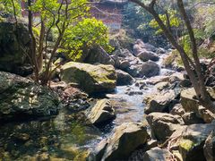 -宁波五龙潭景区
