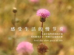 -五环公园